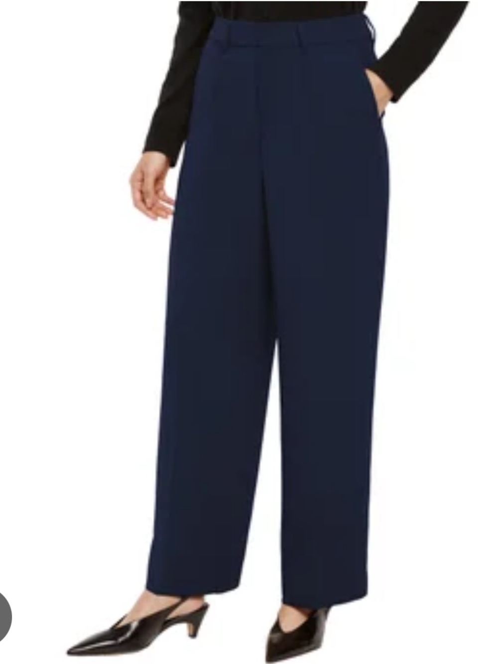 Banana Republic Navy Wide-Leg Trousers